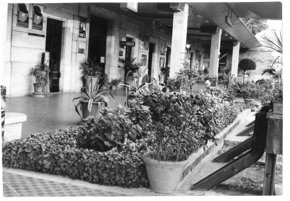 Stazione della Ferrovia - Collezione Biblioteca Comunale G. D. Romagnosi: I binari della stazione (Studio Fotografico Mario Preti, Fidenza)