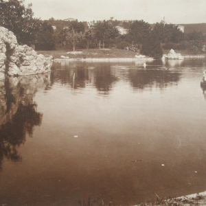 Parco Regina Marcherita - Collezione Biblioteca Comunale G. D. Romagnosi