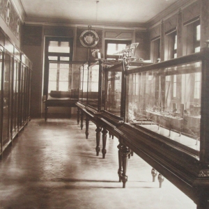 Istruzione Pubblica - Collezione Biblioteca Comunale G. D. Romagnosi: Edificio della Scuola elementare, aula del museo (Album Municipio di Salsomaggiore, le provvidenze del Comune in ordine di servizi pubblici)