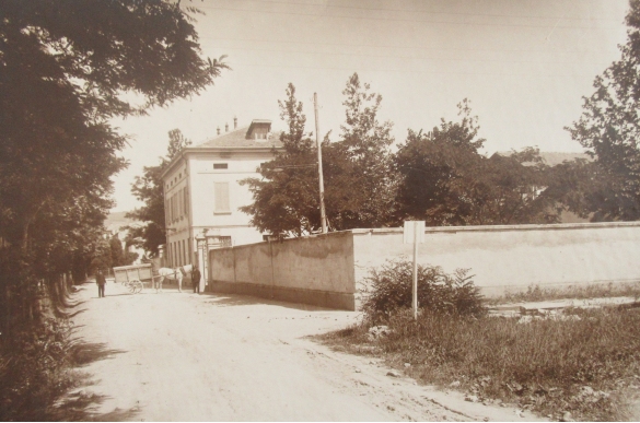 Macello Pubblico - Collezione Biblioteca Comunale G. D. Romagnosi: La sede del macello pubblico (Album Municipio di Salsomaggiore, le provvidenze del Comune in ordine di servizi pubblici)