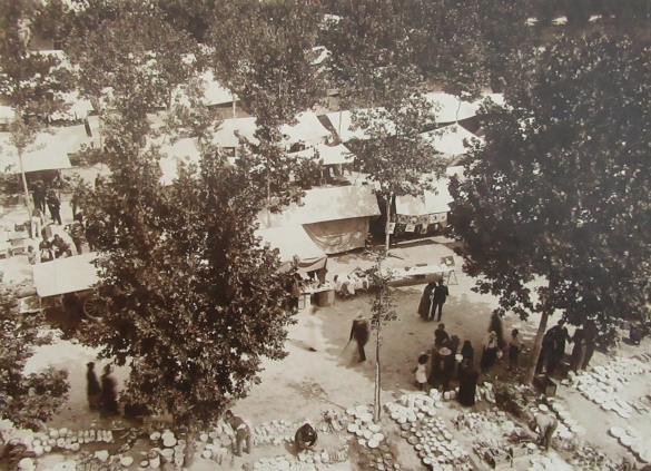 Mercato Pubblico: 1927 circa L'area mercatale in Arena dei Platani (Album Municipio di Salsomaggiore, le provvidenze del Comune in ordine di servizi pubblici)