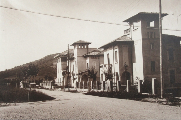 Opera Pubblica - Collezione Biblioteca Comunale G. D. Romagnosi: Nuovo quartiere dei villini (Album Municipio di Salsomaggiore, le provvidenze del Comune in ordine di servizi pubblici)