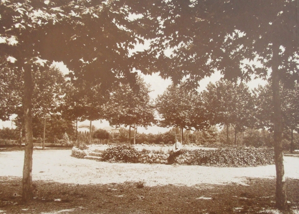 Verde pubblico - Collezione Biblioteca Comunale G. D. Romagnosi: Parco comunale, rotonda dei platani (Album Municipio di Salsomaggiore, le provvidenze del Comune in ordine di servizi pubblici)