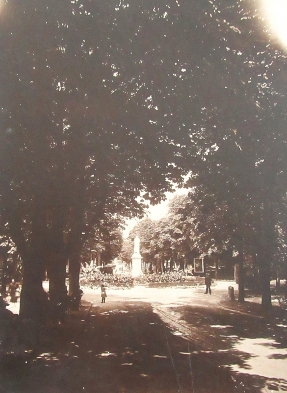 Servizi Pubblici Comunali : Viale Romagnosi . (Album Municipio di Salsomaggiore, le provvidenze del Comune in ordine di servizi pubblici)