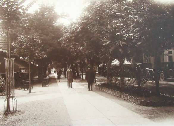 Servizi Pubblici Comunali: 1922 circa. Vista panoramica su viale Romagnosi (Album Municipio di Salsomaggiore, le provvidenze del Comune in ordine di servizi pubblici)