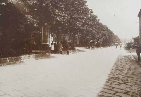Servizi Pubblici Comunali - Collezione Biblioteca Comunale G. D. Romagnosi: Viale XX Settembre, oggi viale Matteotti (Album Municipio di Salsomaggiore, le provvidenze del Comune in ordine di servizi pubblici)