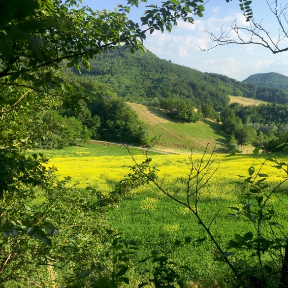 Colori di primavera sulle colline: Veduta sulle colline in primavera