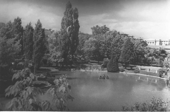 Laghetto Parco Mazzini - Collezione Biblioteca Comunale G. D. Romagnosi: 14 maggio 1943  - Veduta del laghetto