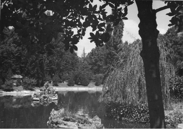 Laghetto Parco Mazzini - Collezione Biblioteca Comunale G. D. Romagnosi: 1943 circa - Veduta del laghetto
