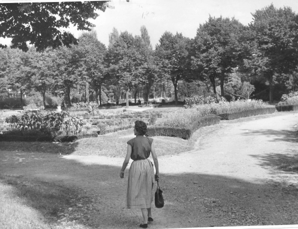 Parco Mazzini - Collezione Biblioteca Comunale G. D. Romagnosi: 1943 circa - I viali del parco