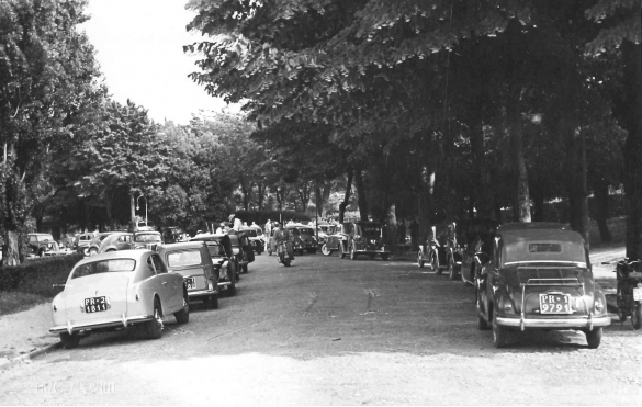 Lungo Parco Mazzini - Collezione Biblioteca Comunale G. D. Romagnosi: 1950 circa - il viale del lungoparco con auto in sosta - Foto Crovini Salsomaggiore