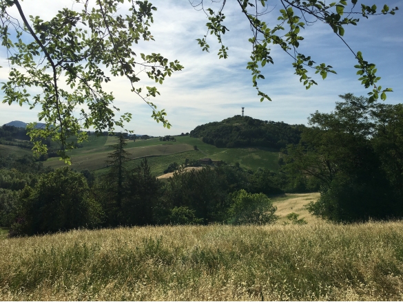 Salsomaggiore Terme : Veduta panoramica da via Fanchina Ceriati