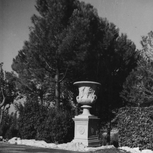 Poggio Diana - Collezione Biblioteca Comunale G. D. Romagnosi: 1950 circa - Particolare di un vaso del gramde parco