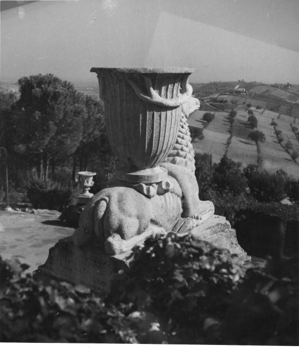 Poggio Diana - Collezione Biblioteca Comunale G. D. Romagnosi: 1950 circa - Esclusivo vaso del parco