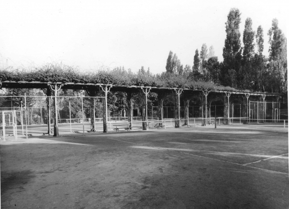 Poggio Diana - Collezione Biblioteca Comunale G. D. Romagnosi: 1950 circa - Il pergolato che divideva i campi da tennis