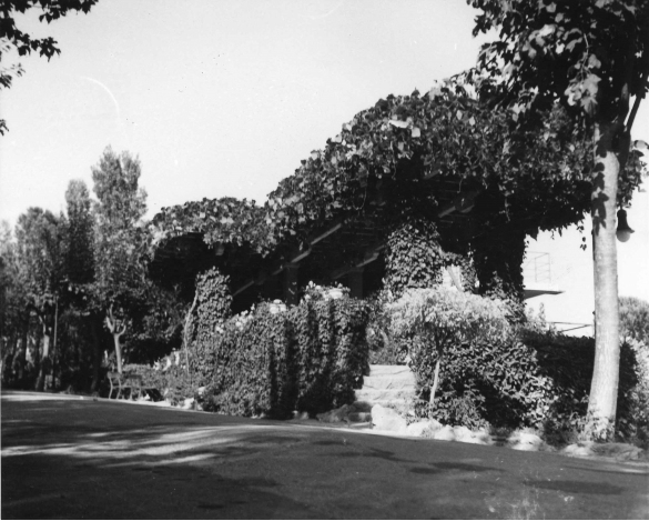 Poggio Diana - Collezione Biblioteca Comunale G. D. Romagnosi: 1950 circa - Particolare del parco dell'esclusivo circolo