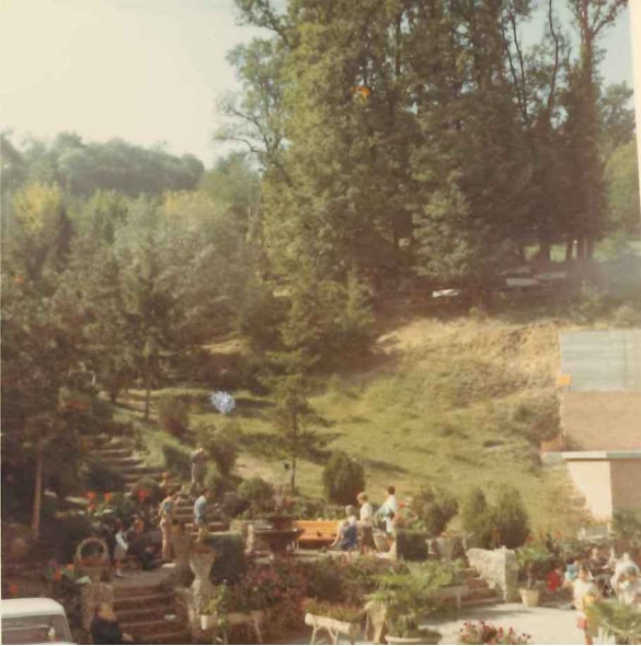 Terme di Tabiano - Collezione Biblioteca Comunale G. D. Romagnosi: Anni '60 del Novecento - Scorcio del parco dello stabilimento termale