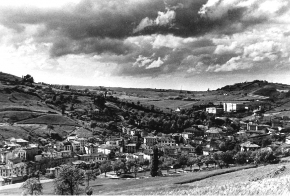 Salsomaggiore Terme - Collezione Biblioteca Comunale G. D. Romagnosi: Anni '60 del Novecento - Veduta panoramica