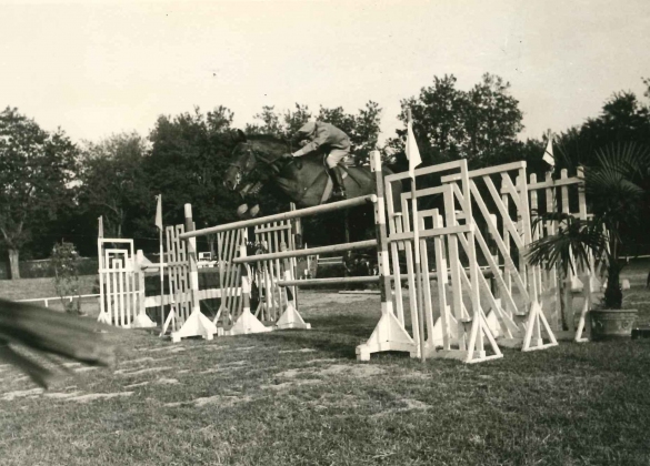 39° Concorso Ippico Nazionale - Collezione Biblioteca Comunale G. D. Romagnosi: 18 agosto 1961 -  Cavaliere in gara