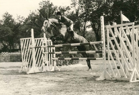39° Concorso Ippico Nazionale - Collezione Biblioteca Comunale G. D. Romagnosi: 18 agosto 1961 - Cavallo e cavaliere al salto