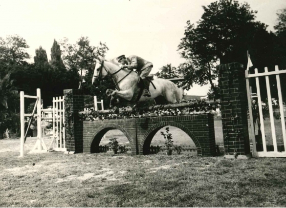 39° Concorso Ippico Nazionale - Collezione Biblioteca Comunale G. D. Romagnosi: 18 agosto 1961 - Raimondo D'Inzeo ufficiale dei Carabinieri, laureatosi campione olimpico ai Giochi di Roma 1960. al salto della barriera