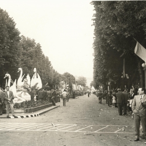 biblioteca_corso_fiori_1956_(31)