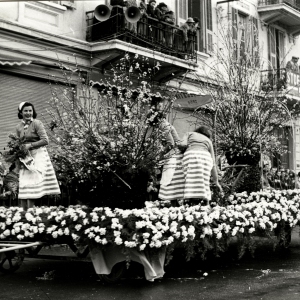 VII ed. Corso dei Fiori - Collezione Biblioteca Comunale G.D. Romagnosi