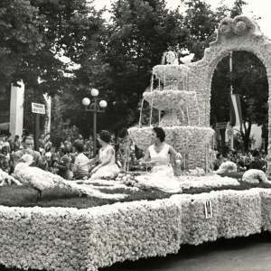 biblioteca_corso_fiori_1956_(91)