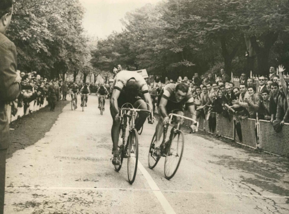 1966 Corsa di Coppi - Collezione Biblioteca comunale G.D. Romagnosi: 12 Ottobre 1966 - 3^ edizione della gara. ciclisti in gara presso il Poggio Diana