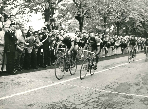 1966 Corsa di Coppi - Collezione Biblioteca comunale G.D. Romagnosi: 12 Ottobre 1966 - 3^ edizione della gara, partita da Tortona con arrivo a Salsomaggiore; ciclisti in volata al traguardo