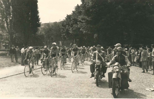 1950 Giro d'Italia 33 edizione - Collezione BIblioteca comunale G.D. Romagnosi: 24 Maggio 1950 - I ciclisti in arrivo al trafuardo della prima tappa fissata a Salsomaggiore.Terme