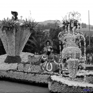 1950 - Corso dei Fiori: 1950 - 1° Corso dei fiori - Carro campestre