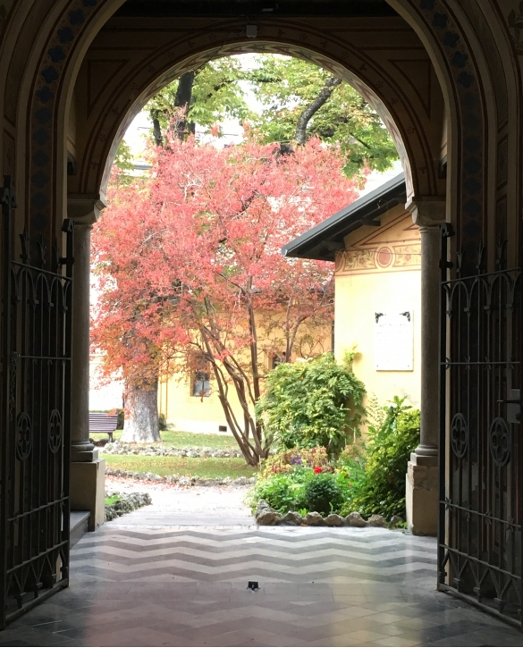 Galleria Warowland : Colori d'Autunno