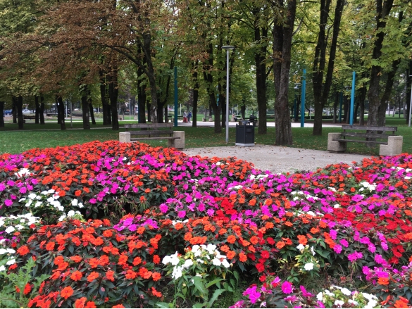 Parco Corazza: Giardino in fiore