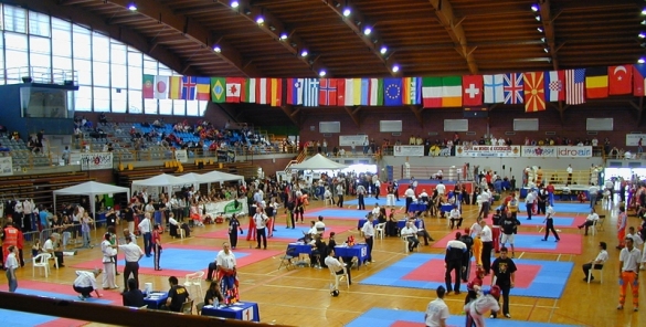 Palazzetto dello Sport: Torneo di arti marziali