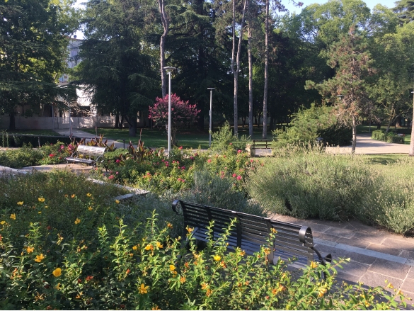 Parco Corazza: 
