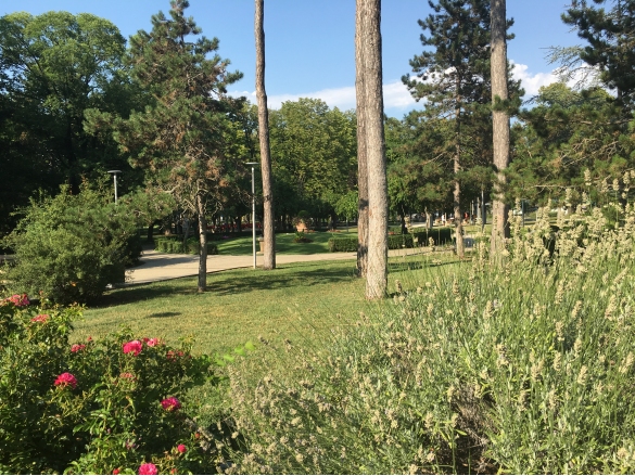 Parco Corazza: 