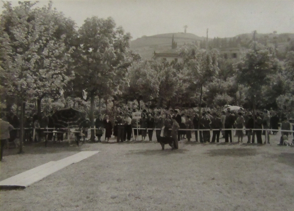 Esposizione Internazionale Canina: Anni '60 del Novecento 