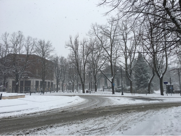 Nevicata: 