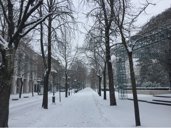 Nevicata: 