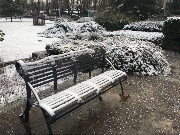 Nevicata: 