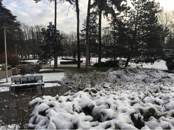 Nevicata: 