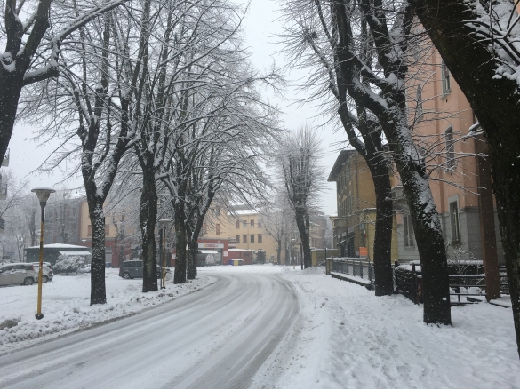 Nevicata: 