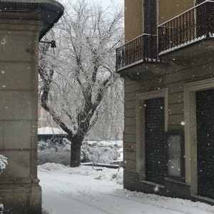 Nevicata