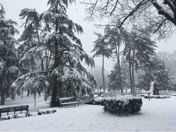 Nevicata: 