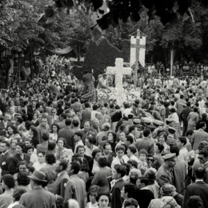 1956 Corso di Fiori - Collezione BIblioteca G.D.Romagnosi