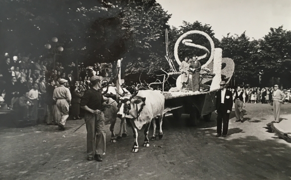 1952 Corso di Fiori - Collezione BIblioteca G.D.Romagnosi: Giugno 1952 - Un carro floreale tirato da buoi