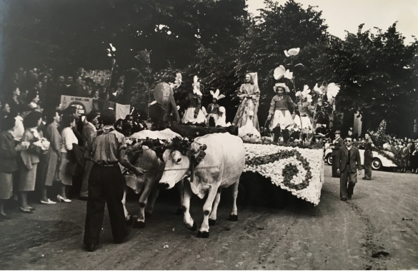 1952 Corso di Fiori - Collezione BIblioteca G.D.Romagnosi: Giugno 1952 - n 29 Pianeta in fiore, carro grande