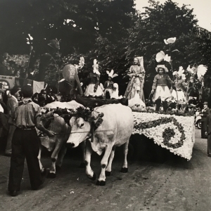 1952 Corso di Fiori - Collezione BIblioteca G.D.Romagnosi