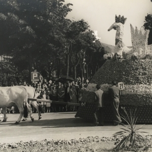 1952 Corso di Fiori - Collezione BIblioteca G.D.Romagnosi